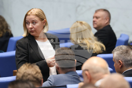 Парламент - заседание