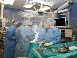 Снимка: Военномедицинска академия 