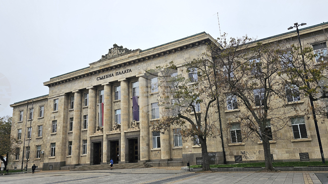 Прокуратурата предаде на съд русенка за укриване на данъци в особено големи размери