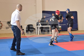 Враца - МВР - турнир кик-бокс