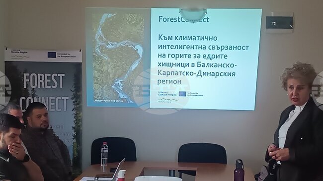 Мерки за адаптация на горите към климатичните промени бяха обсъдени на трансгранична експертна среща във Враца