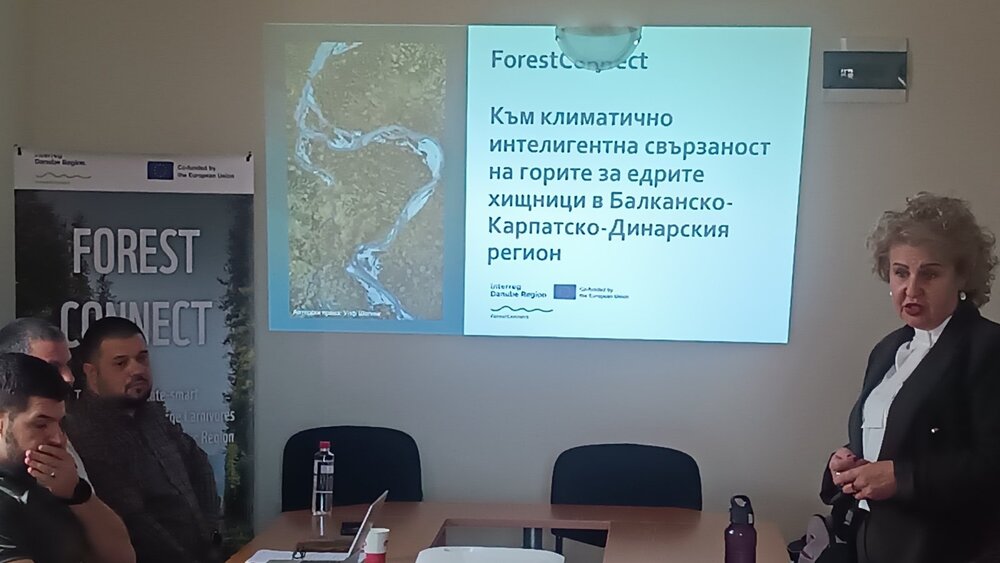 Мерки за адаптация на горите към климатичните промени бяха обсъдени на трансгранична експертна среща във Враца