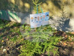 Снимка: Община Стара Загора