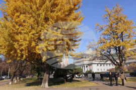 North Korea Daily Life