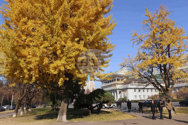 North Korea Daily Life