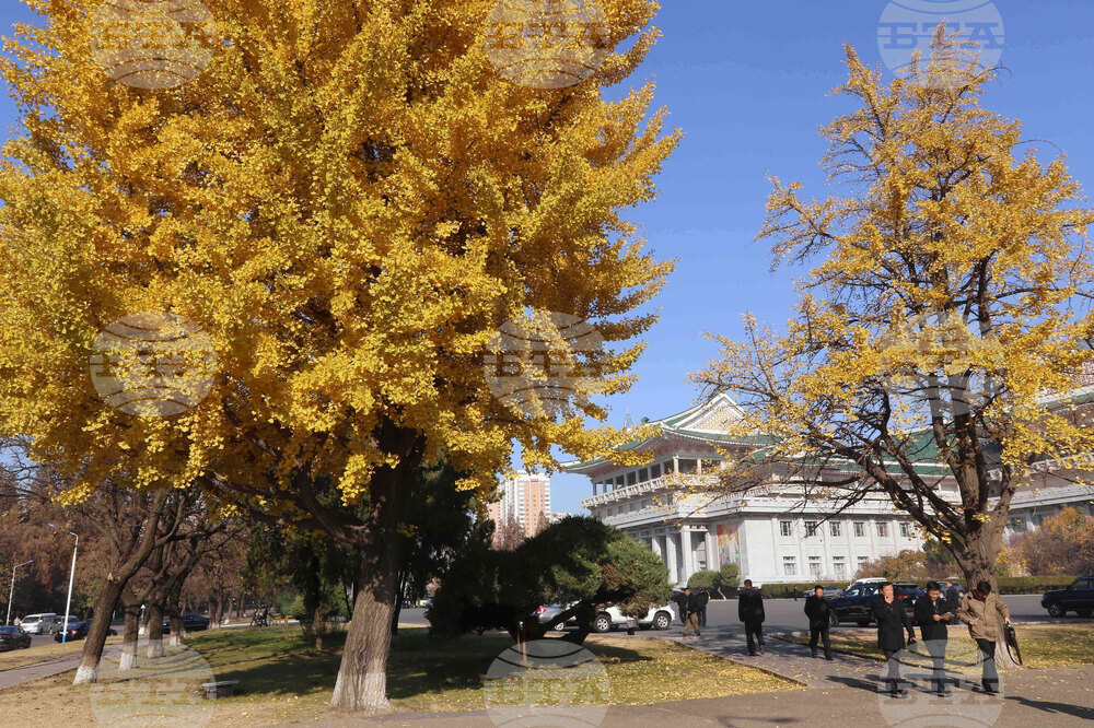 North Korea Daily Life