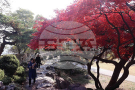 North Korea Daily Life