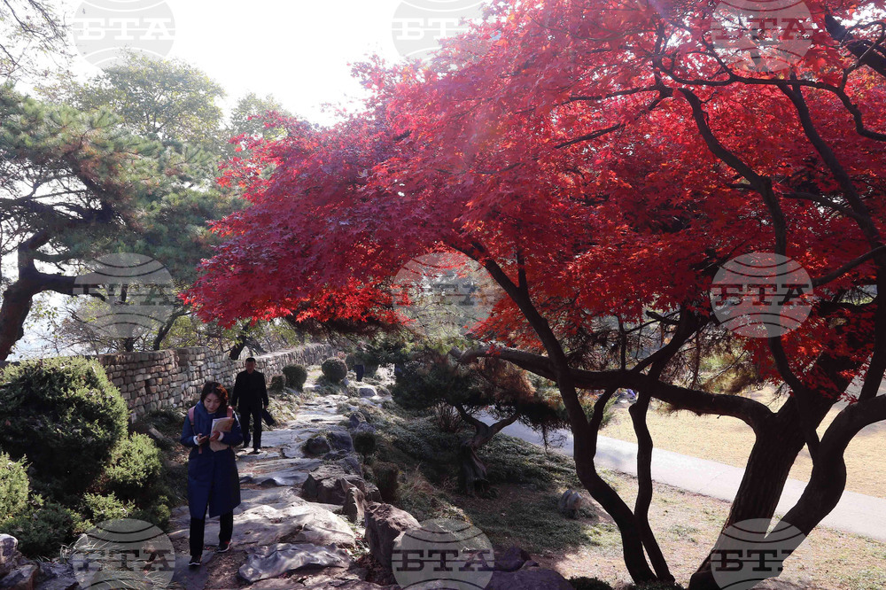 North Korea Daily Life