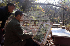 North Korea Daily Life