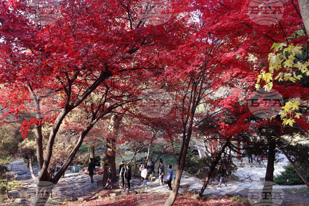 North Korea Daily Life