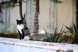 Черноморец - хоспис - отнет лиценз