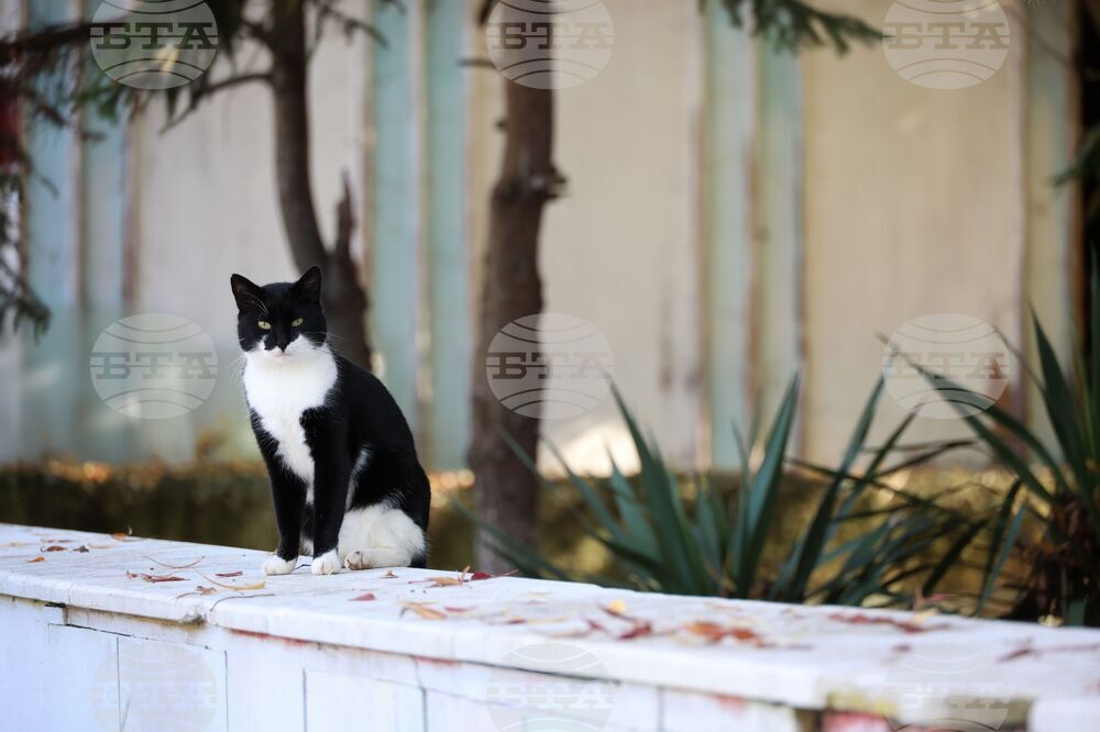 Черноморец - хоспис - отнет лиценз