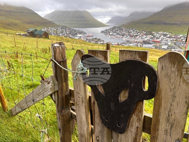 Faroe Islands World Cup