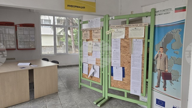 В Дирекцията “Бюро по труда“ в Свищов към момента е обявена само една свободна работна позиция за висшист 