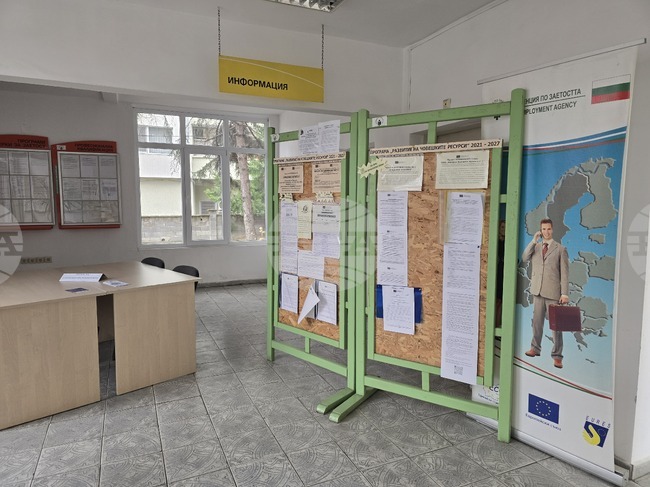 В Дирекцията “Бюро по труда“ в Свищов към момента е обявена само една свободна работна позиция за висшист 