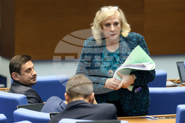 Парламент - заседание