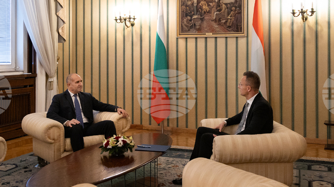 Перспективите на Европа за справяне с предизвикателствата, пред които е изправена, обсъди президентът Румен Радев с външния министър на Унгария