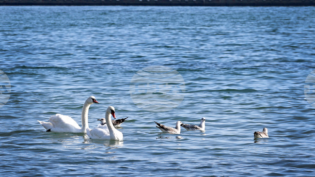 Министерството на туризма очаква добър летен сезон