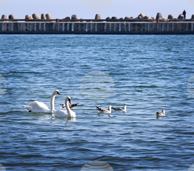 Министерството на туризма очаква добър летен сезон