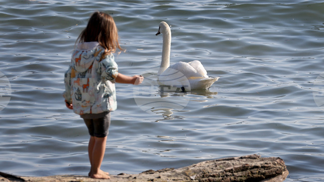 Green NGO in Varna Marks 30 Years with New Environmental Education Campaign