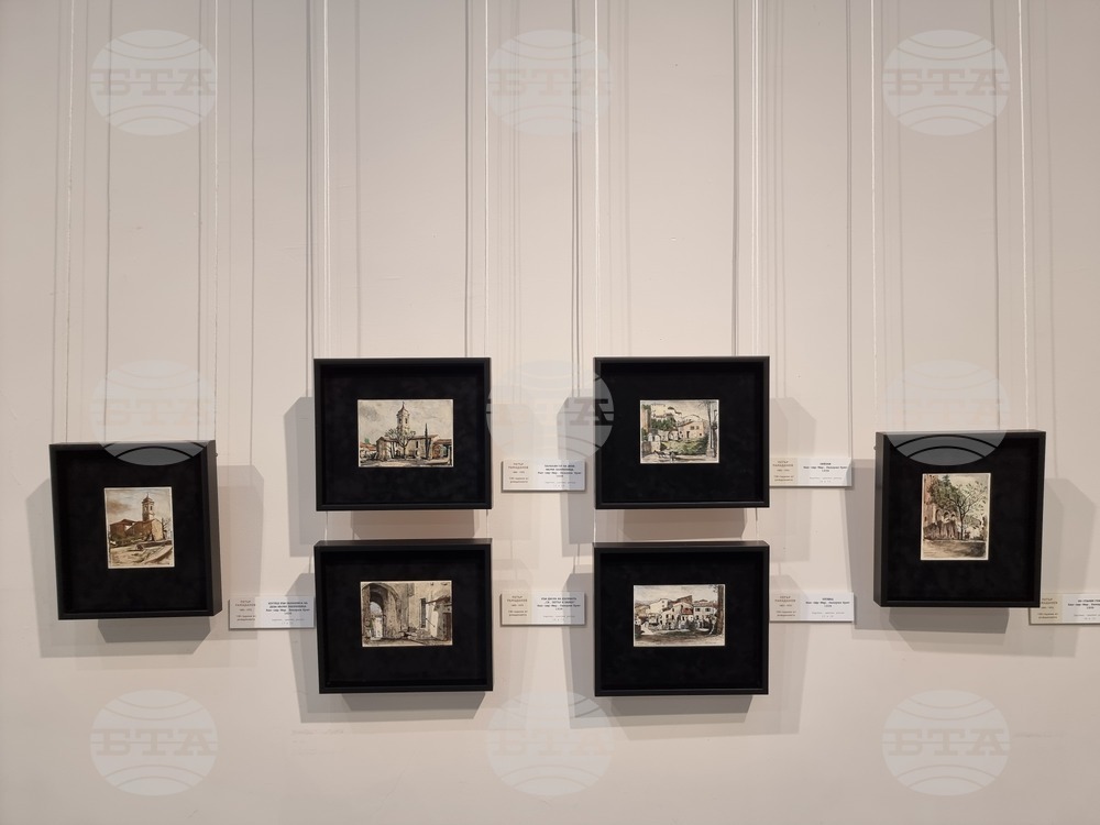 Кюстендил - изложба - Петър Рамаданов