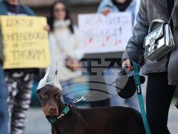 Насилие над животни - „Справедливост за Мая“ - протест 
