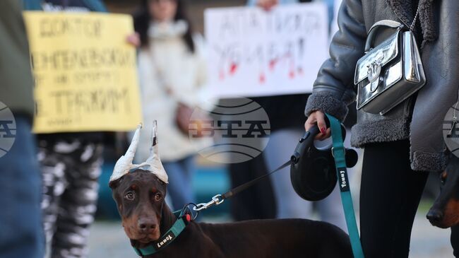 "Те не могат да говорят, ти защо мълчиш?" - граждани в София поискаха насилието над животни да спре