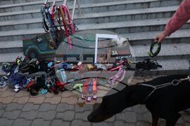 Насилие над животни - „Справедливост за Мая“ - протест