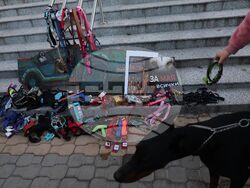 Насилие над животни - „Справедливост за Мая“ - протест