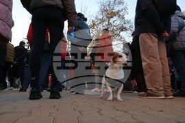 Насилие над животни - „Справедливост за Мая“ - протест