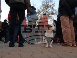 Насилие над животни - „Справедливост за Мая“ - протест