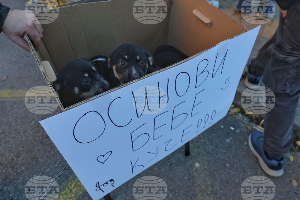 Насилие над животни - „Справедливост за Мая“ - протест