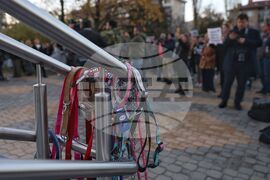 Насилие над животни - „Справедливост за Мая“ - протест