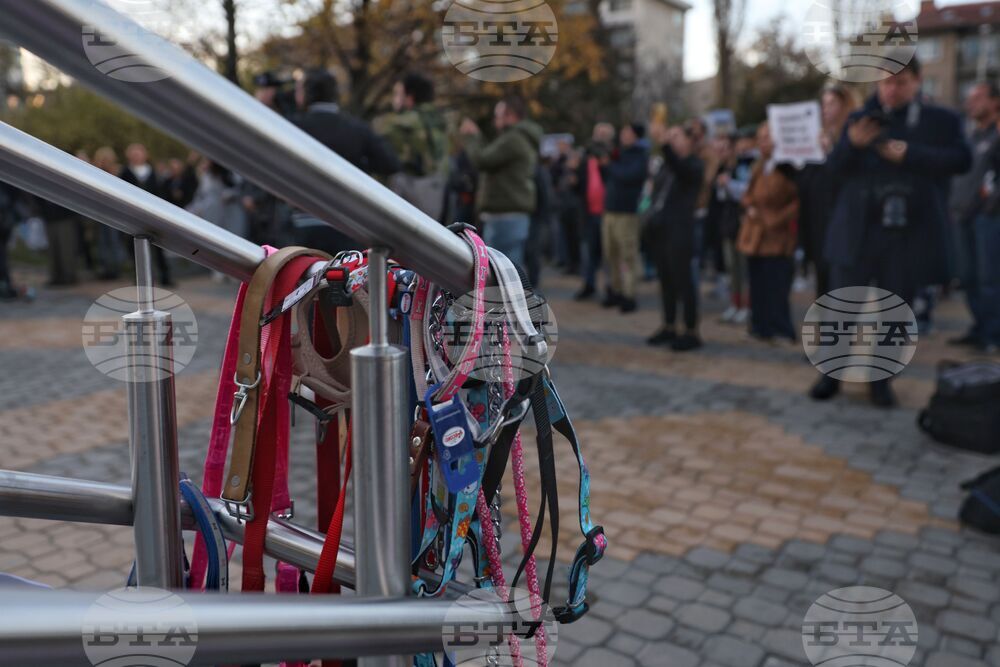 Насилие над животни - „Справедливост за Мая“ - протест