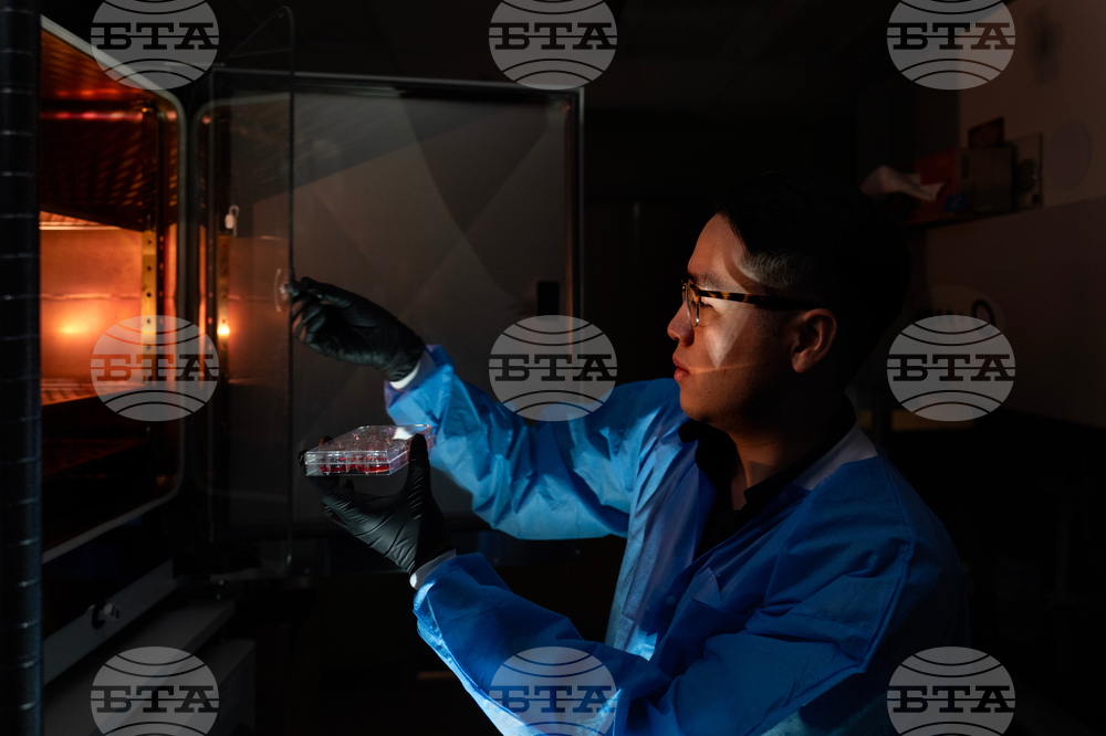 Autoimmune Disease Detectives Photo Essay