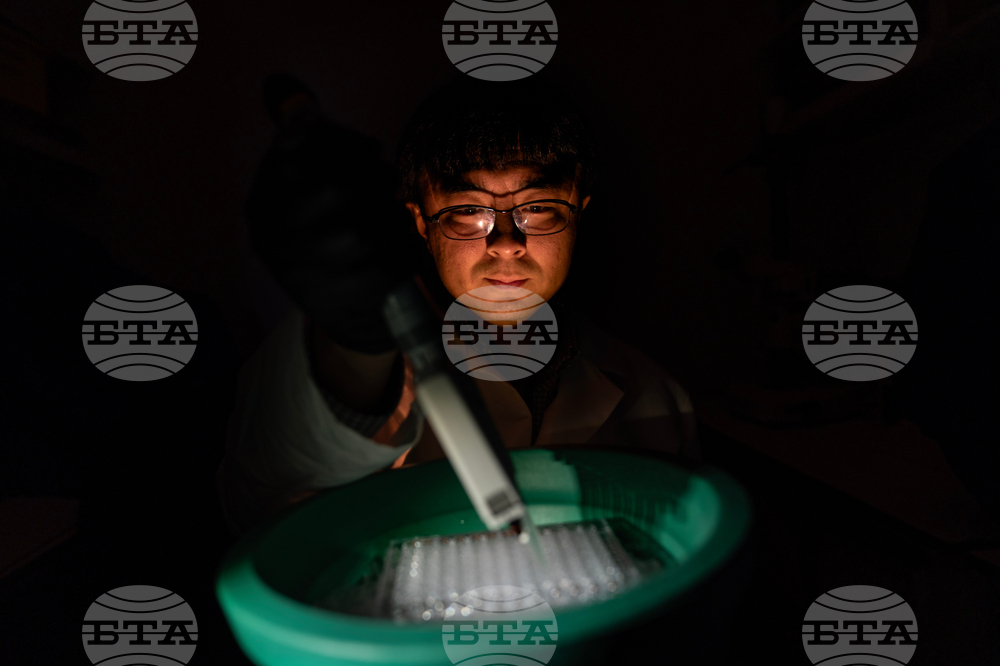 Autoimmune Disease Detectives Photo Essay