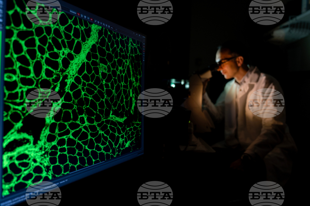 Човешкото сърце може да възстанови мускулни клетки след сърдечен удар, сочи проучване