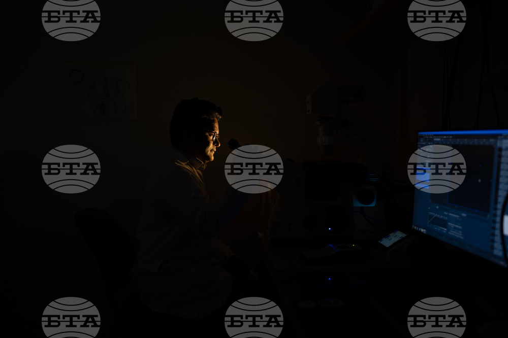 Autoimmune Disease Detectives Photo Essay