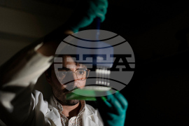 Autoimmune Disease Detectives Photo Essay