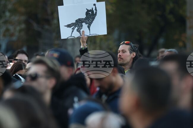 Под надслов "Справедливост за Мая" граждани се събраха пред ВМА на протест срещу жестокостта към животните