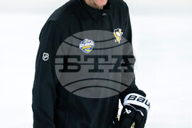 Sweden Penguins Hockey