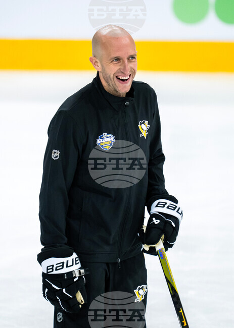 Sweden Penguins Hockey