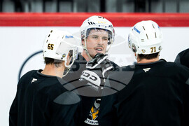 Sweden Penguins Hockey