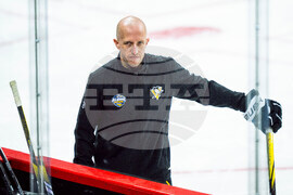 Sweden Penguins Hockey