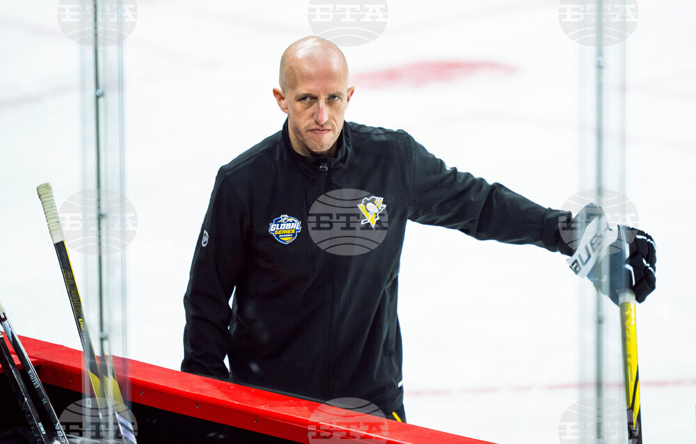 Sweden Penguins Hockey