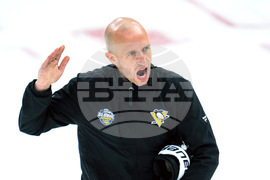 Sweden Penguins Hockey