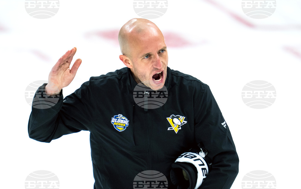 Sweden Penguins Hockey