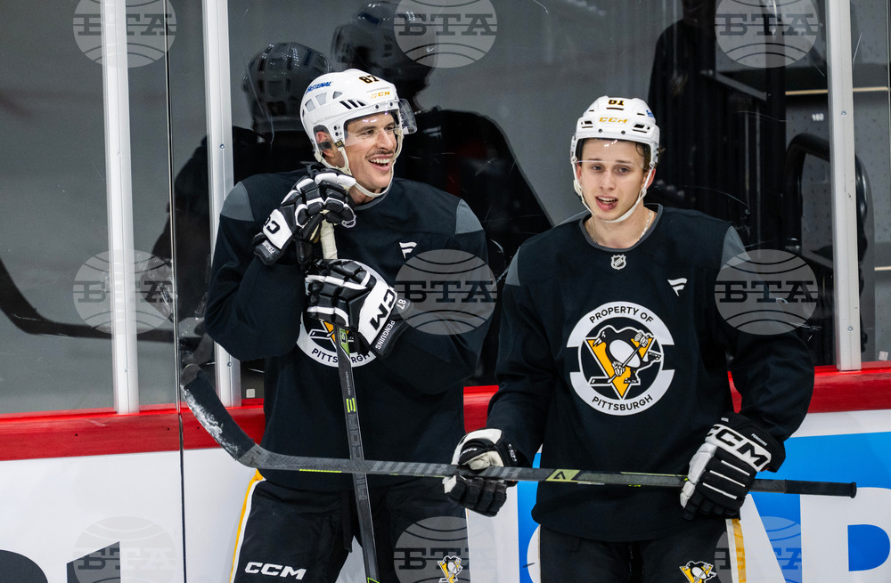 Sweden Penguins Hockey