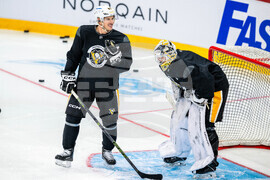 Sweden Penguins Hockey