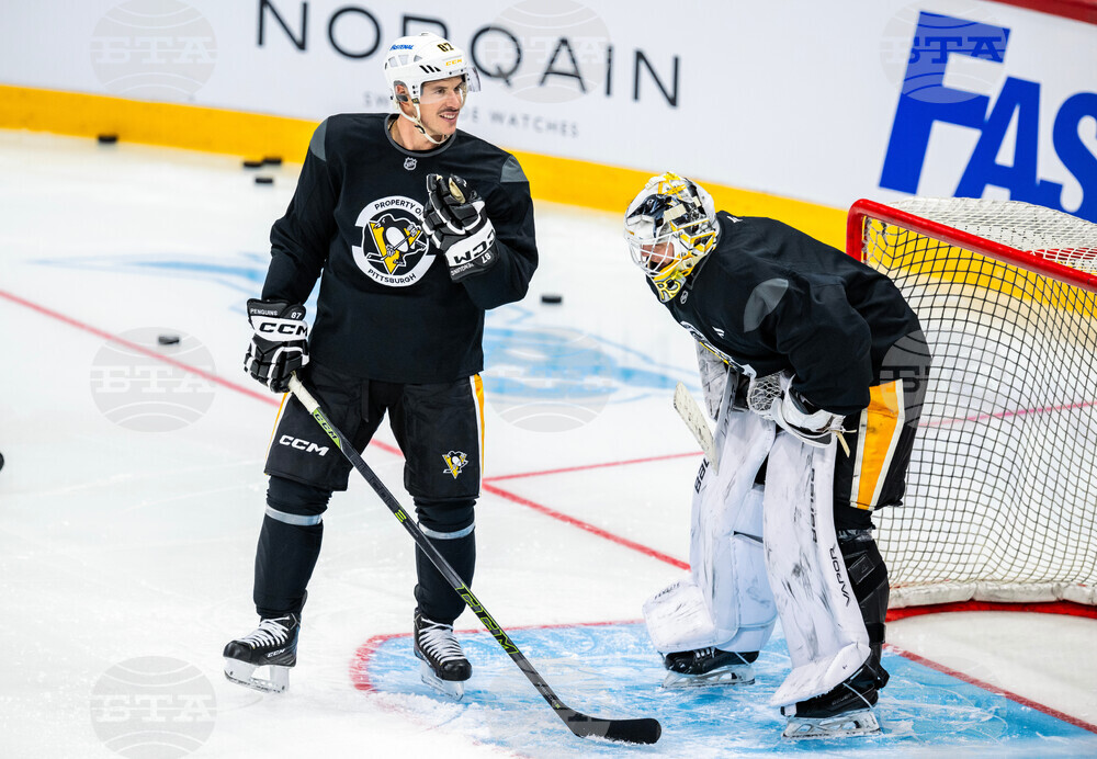 Sweden Penguins Hockey